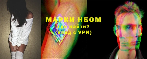 стафф Арсеньев