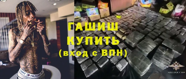 гидра Надым