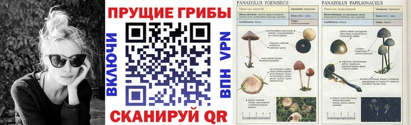 Галлюциногенные грибы Cubensis  Очёр 